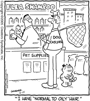 heathcliff